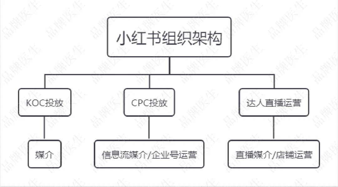 黑客帝王团队名字大全集(黑客帝王团队名字大全集霸气)